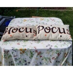 Hocus Pocus pillows 2 count